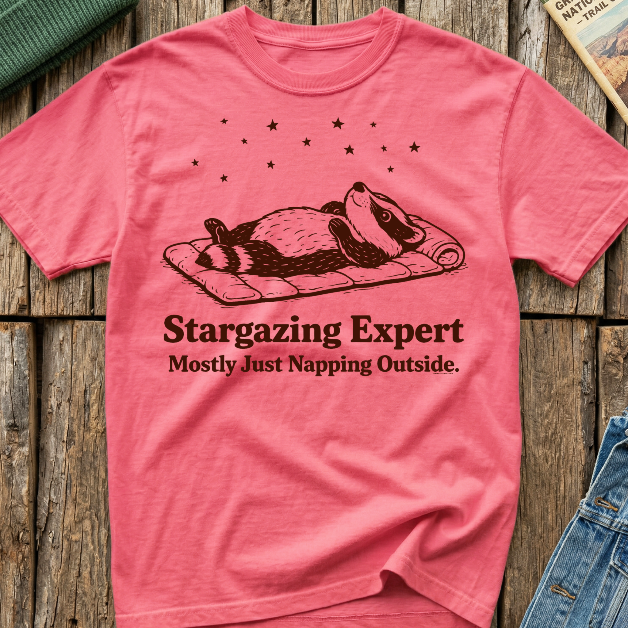 Stargazing Expert T-Shirt